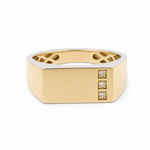 10k Yellow Gold Fashion Men's Ring - Miral Jewelry