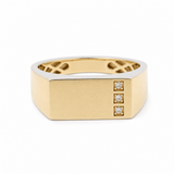 10k Yellow Gold Fashion Men's Ring - Miral Jewelry