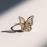 14K Yellow Gold  Butterfly with Cz Fashion Women's Ring