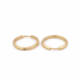 14K Yellow Gold  Small Hoop Earrings