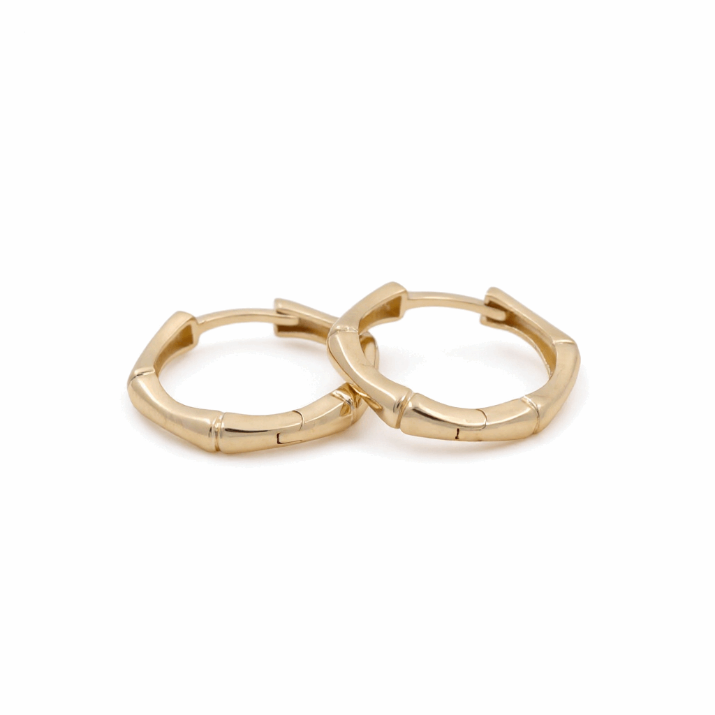 14K Yellow Gold  Small Hoop Earrings