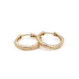 14K Yellow Gold  Small Hoop Earrings