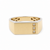 10k Yellow Gold Fashion Men's Ring