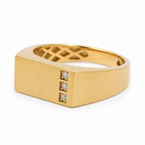 10k Yellow Gold Fashion Men's Ring