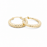 10K Yellow Gold Small Hoop Earrings