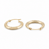 10K Yellow Gold Small Hoop Earrings