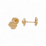 Yellow Gold 14k Puppy Hand Stud Earrings - Miral Jewelry